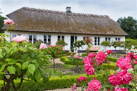 dronning louises tehus|Chaya .